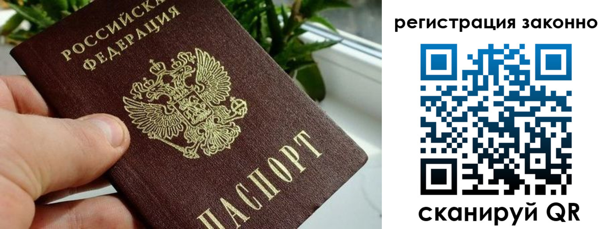прописка гарантия в Палласовке